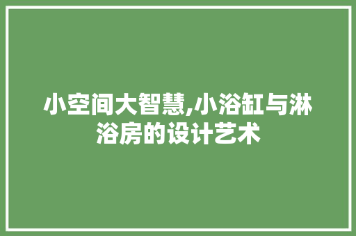 小空间大智慧,小浴缸与淋浴房的设计艺术