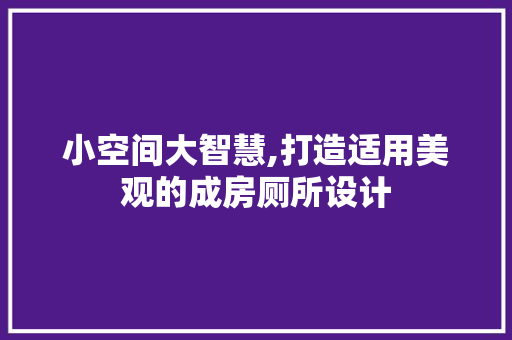 小空间大智慧,打造适用美观的成房厕所设计
