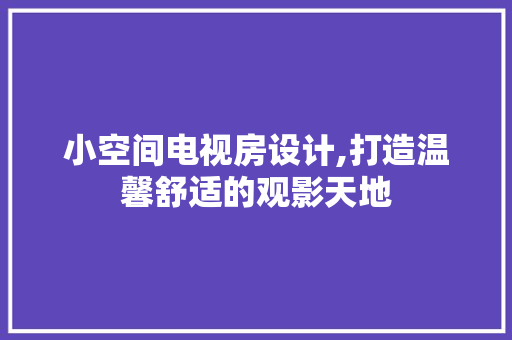 小空间电视房设计,打造温馨舒适的观影天地