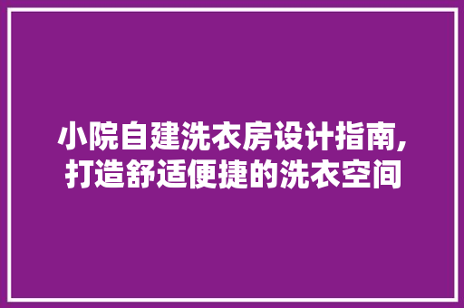 小院自建洗衣房设计指南,打造舒适便捷的洗衣空间