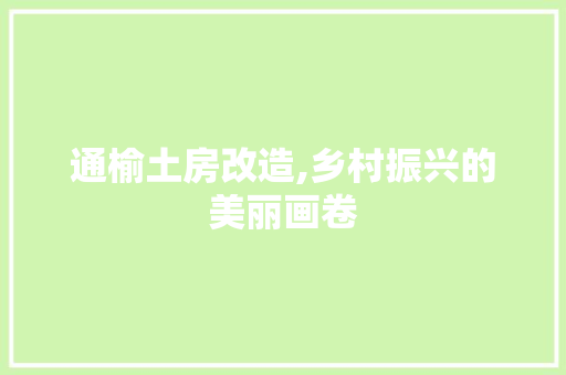 通榆土房改造,乡村振兴的美丽画卷