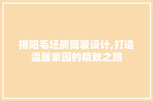 揭阳毛坯房简装设计,打造温馨家园的精致之路