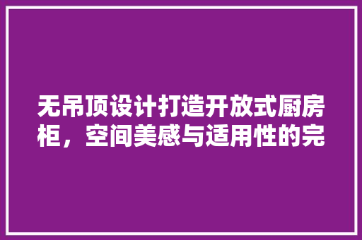 无吊顶设计打造开放式厨房柜，空间美感与适用性的完美结合