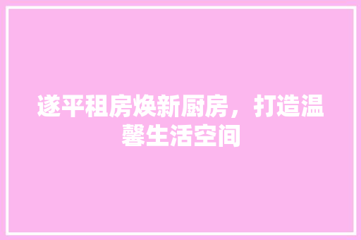 遂平租房焕新厨房，打造温馨生活空间
