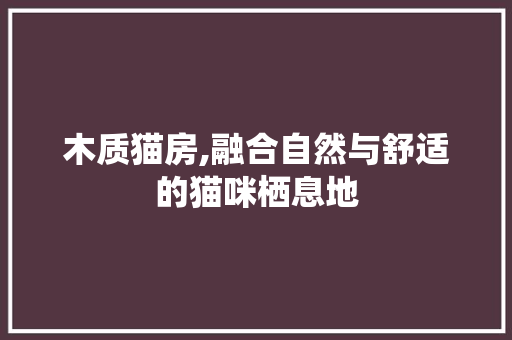 木质猫房,融合自然与舒适的猫咪栖息地