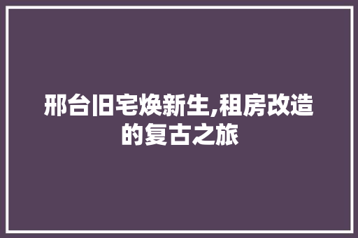 邢台旧宅焕新生,租房改造的复古之旅