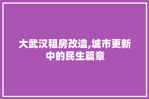 大武汉租房改造,城市更新中的民生篇章
