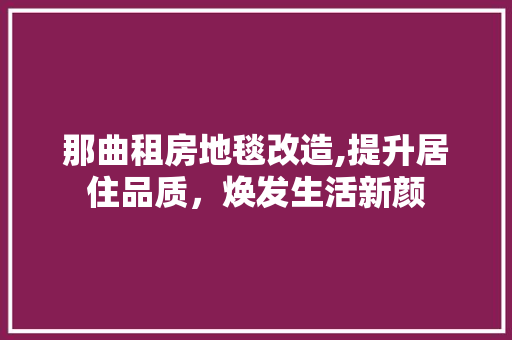 那曲租房地毯改造,提升居住品质，焕发生活新颜