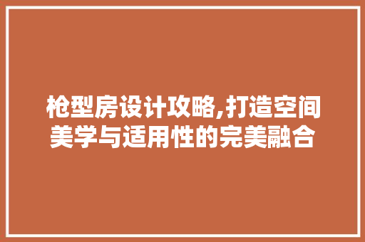 枪型房设计攻略,打造空间美学与适用性的完美融合
