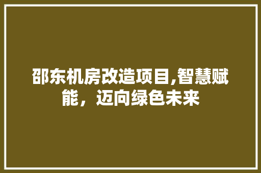 邵东机房改造项目,智慧赋能，迈向绿色未来
