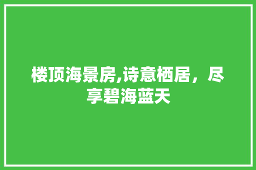 楼顶海景房,诗意栖居，尽享碧海蓝天