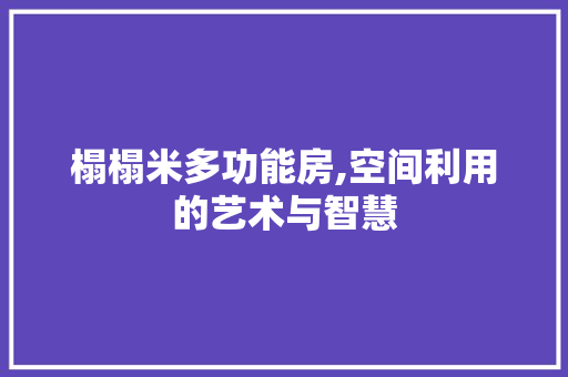 榻榻米多功能房,空间利用的艺术与智慧