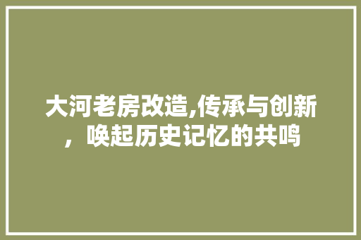 大河老房改造,传承与创新，唤起历史记忆的共鸣