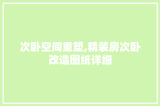 次卧空间重塑,精装房次卧改造图纸详细