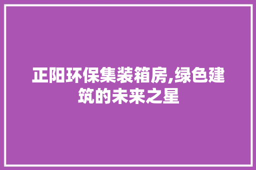 正阳环保集装箱房,绿色建筑的未来之星