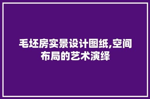 毛坯房实景设计图纸,空间布局的艺术演绎