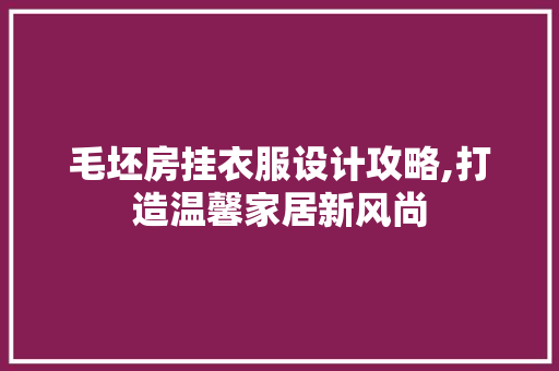 毛坯房挂衣服设计攻略,打造温馨家居新风尚