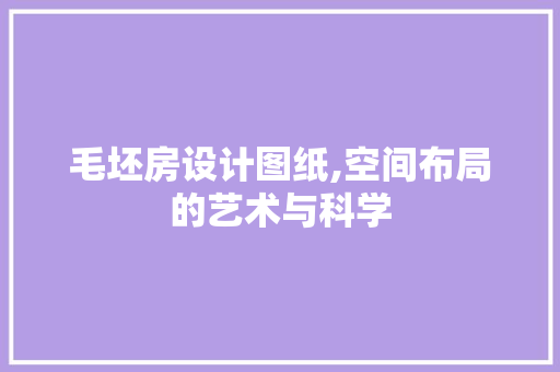 毛坯房设计图纸,空间布局的艺术与科学