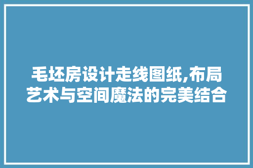 毛坯房设计走线图纸,布局艺术与空间魔法的完美结合