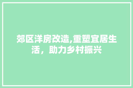郊区洋房改造,重塑宜居生活，助力乡村振兴