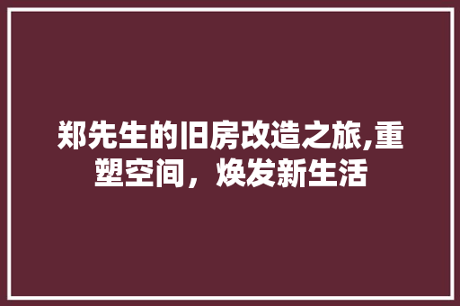 郑先生的旧房改造之旅,重塑空间，焕发新生活