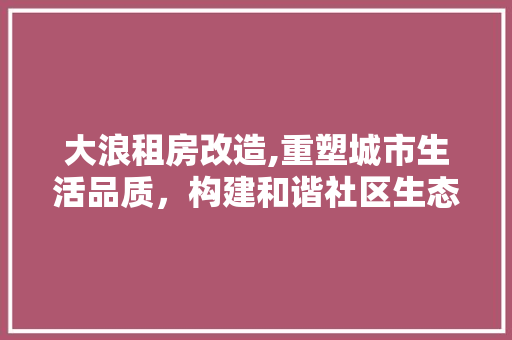 大浪租房改造,重塑城市生活品质，构建和谐社区生态