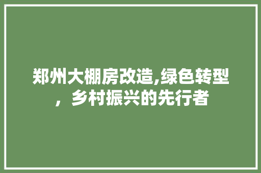 郑州大棚房改造,绿色转型，乡村振兴的先行者