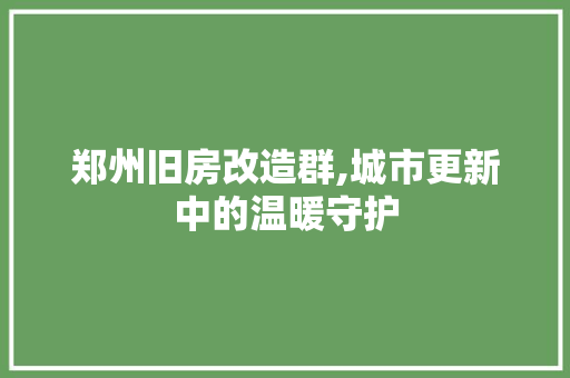 郑州旧房改造群,城市更新中的温暖守护