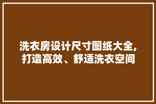 洗衣房设计尺寸图纸大全,打造高效、舒适洗衣空间