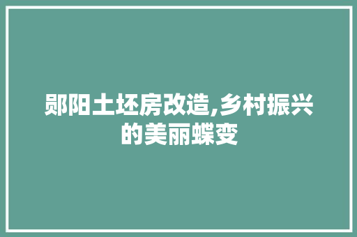 郧阳土坯房改造,乡村振兴的美丽蝶变