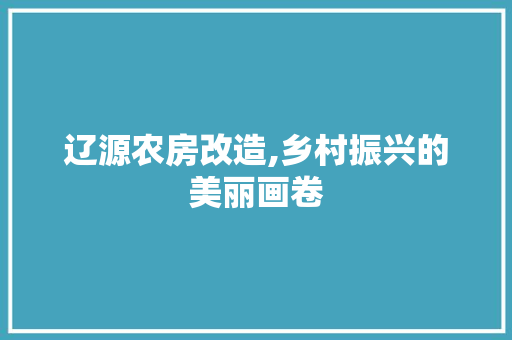 辽源农房改造,乡村振兴的美丽画卷