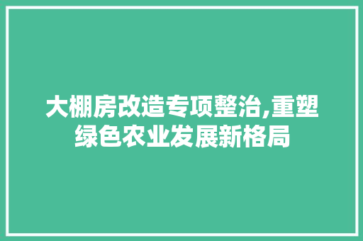 大棚房改造专项整治,重塑绿色农业发展新格局