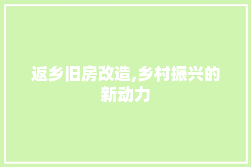 返乡旧房改造,乡村振兴的新动力
