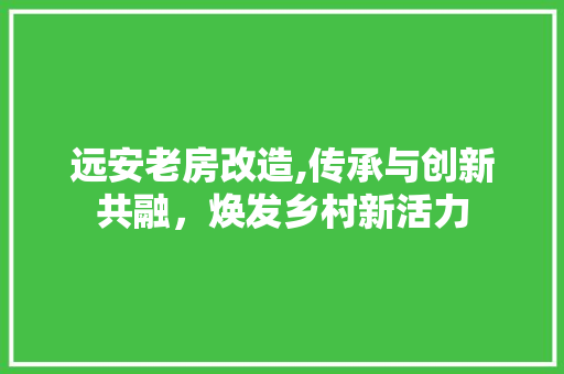 远安老房改造,传承与创新共融，焕发乡村新活力