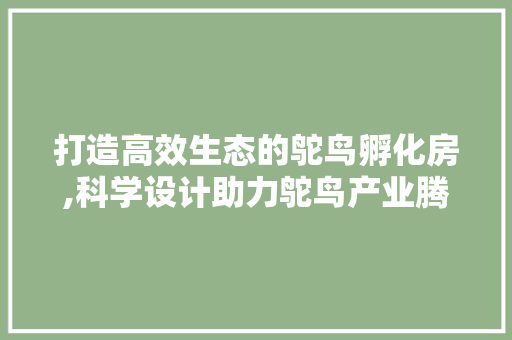 打造高效生态的鸵鸟孵化房,科学设计助力鸵鸟产业腾飞