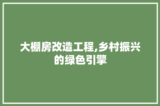 大棚房改造工程,乡村振兴的绿色引擎