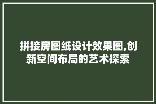 拼接房图纸设计效果图,创新空间布局的艺术探索