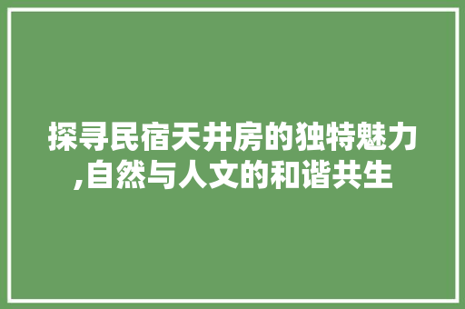 探寻民宿天井房的独特魅力,自然与人文的和谐共生
