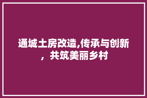 通城土房改造,传承与创新，共筑美丽乡村