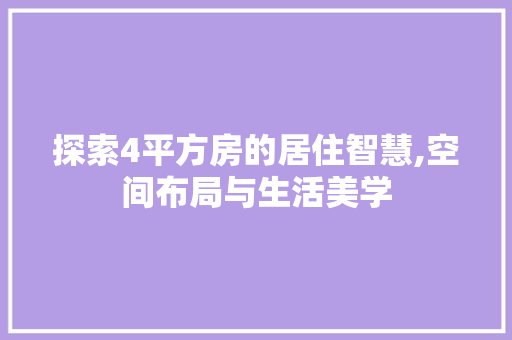 探索4平方房的居住智慧,空间布局与生活美学