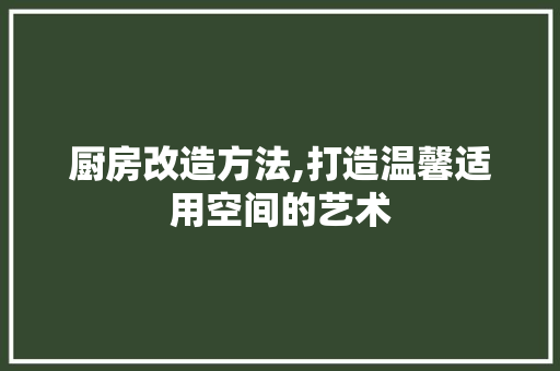 厨房改造方法,打造温馨适用空间的艺术