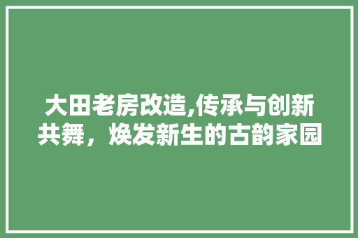 大田老房改造,传承与创新共舞，焕发新生的古韵家园