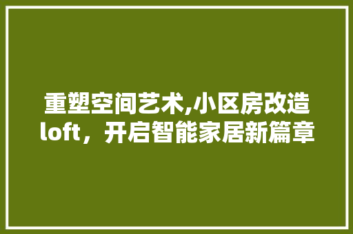 重塑空间艺术,小区房改造loft，开启智能家居新篇章