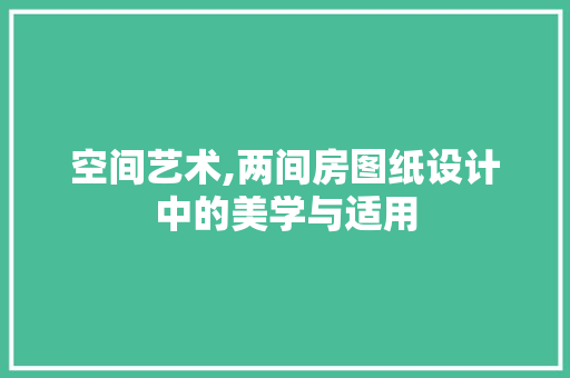 空间艺术,两间房图纸设计中的美学与适用