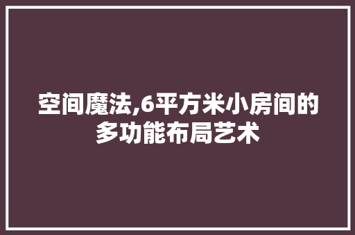 空间魔法,6平方米小房间的多功能布局艺术