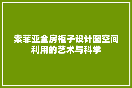 索菲亚全房柜子设计图空间利用的艺术与科学