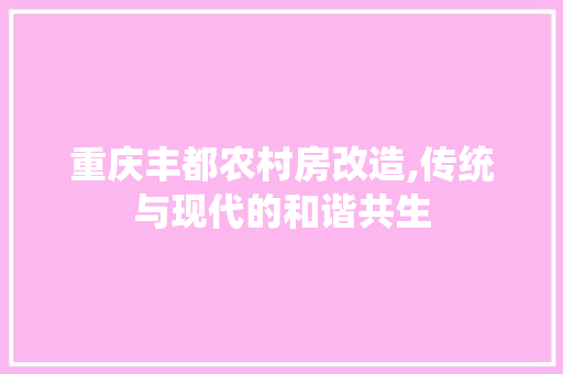 重庆丰都农村房改造,传统与现代的和谐共生