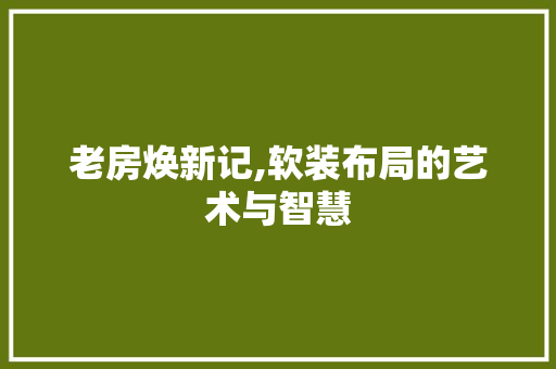 老房焕新记,软装布局的艺术与智慧