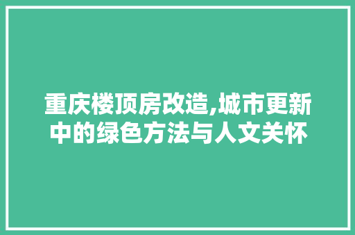 重庆楼顶房改造,城市更新中的绿色方法与人文关怀