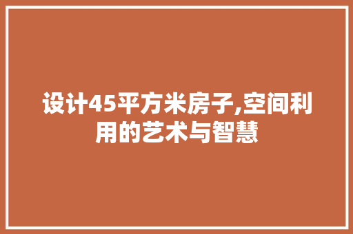 设计45平方米房子,空间利用的艺术与智慧